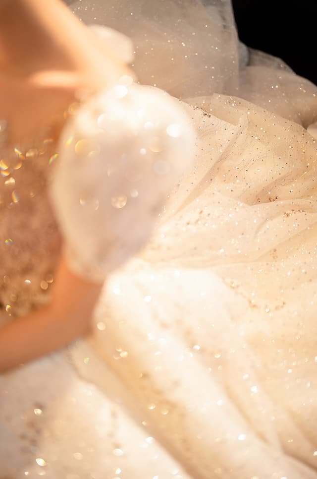 Wedtire Wedding Dress Small Train With Bow Luxury Long Sleeve Lace Handmade Mermaid Style No. Fairytale