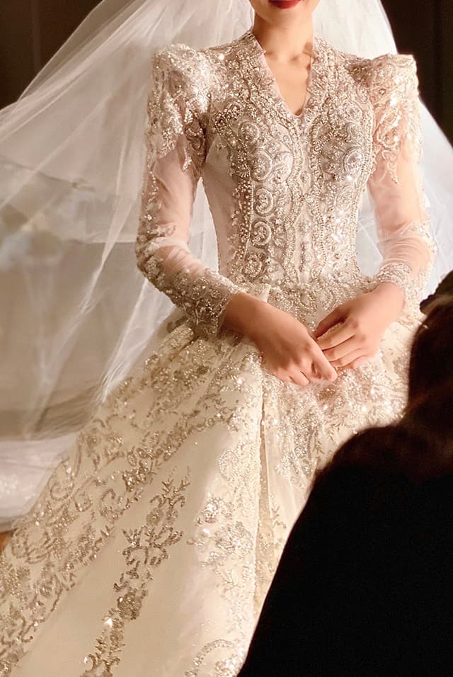 Wedtire Wedding Dress Small Train With Bow Luxury Long Sleeve Lace Handmade Mermaid Style No. Starlight Records